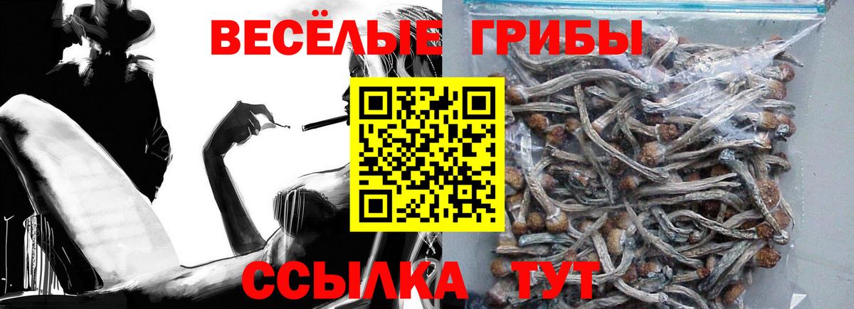 Галлюциногенные грибы Psilocybine cubensis  Вход с VPN  Ухта 